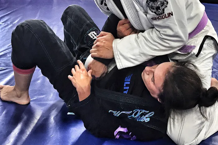 417 Brazilian Jiu Jitsu Picture 8