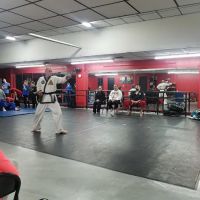 Southwest Tae-Kwon-Do Association ico