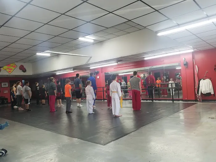 Southwest Tae-Kwon-Do Association Picture 3