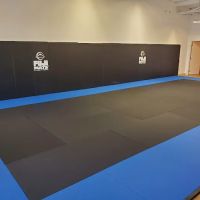 Infinity Martial Arts of Bolivar ico