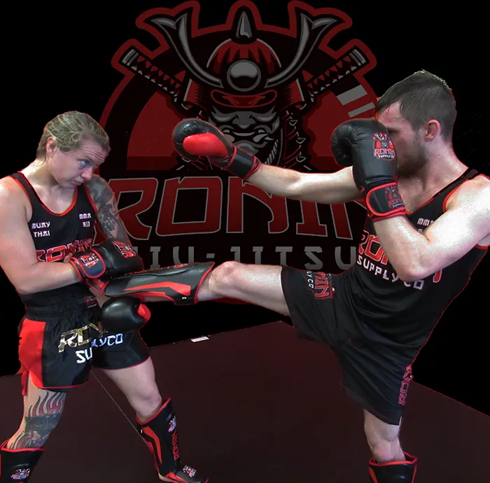 Ronin Martial Arts - Mahopac Picture 9