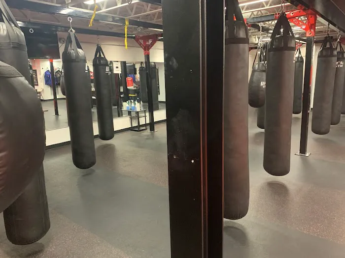 Ronin Martial Arts - Mahopac Picture 2