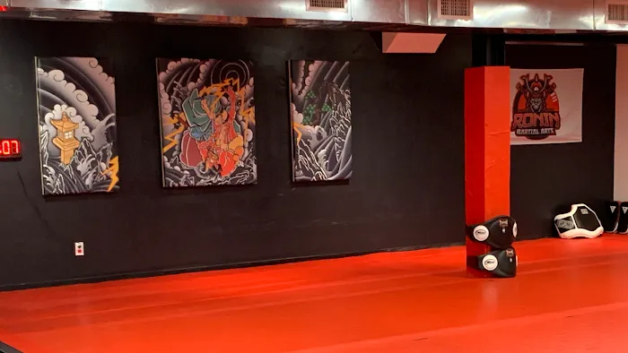 Ronin Martial Arts - Mahopac Picture 8