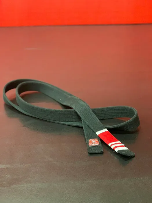 Ronin Martial Arts - Mahopac Picture 3