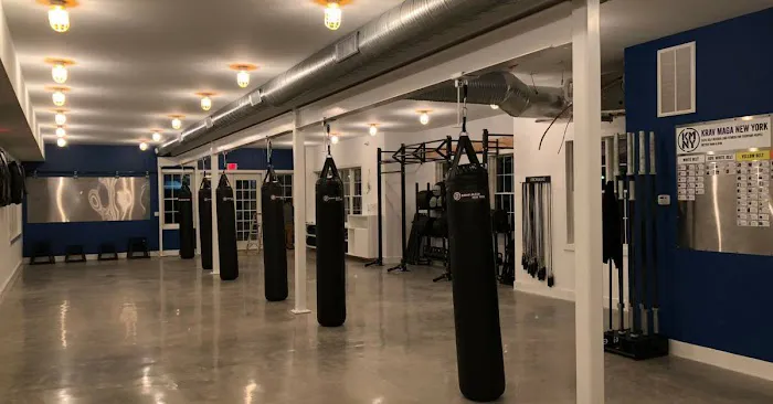 Krav Maga New York Picture 3