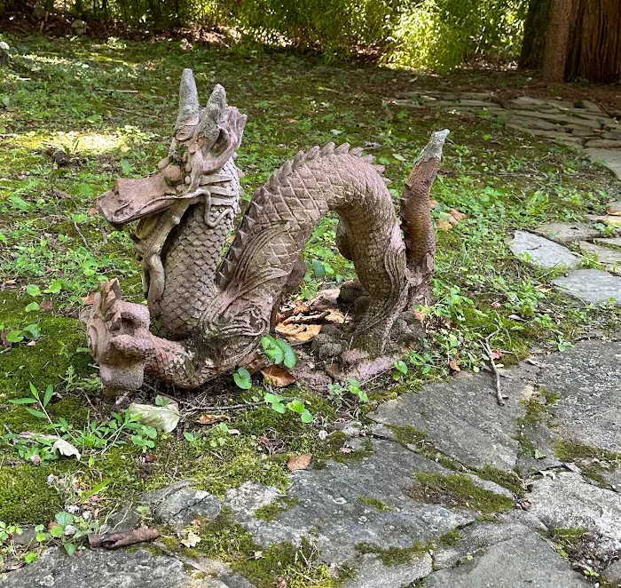 Dragon and Crane Picture 2