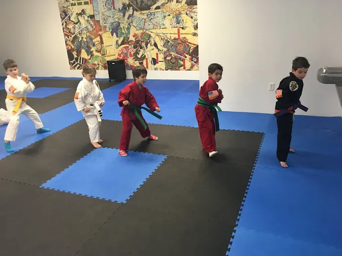 Kempo Academy of Cross River Picture 2