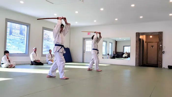 Hudson Valley Aikido Picture 3