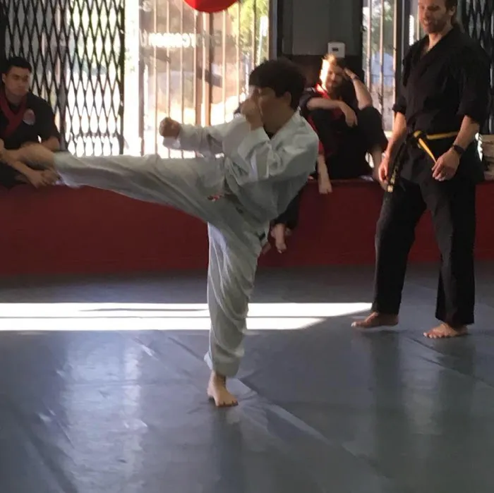 Americas Best Chatsworth Karate and Krav Maga Picture 6
