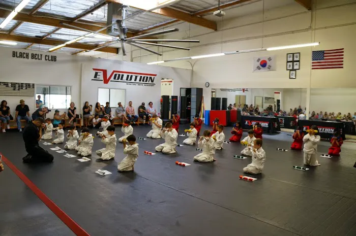 Renzo Gracie Evolution Picture 3