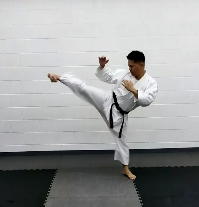 JEDOKAN ACADEMY Picture 5