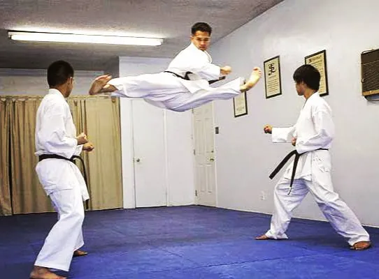 JEDOKAN ACADEMY Picture 4