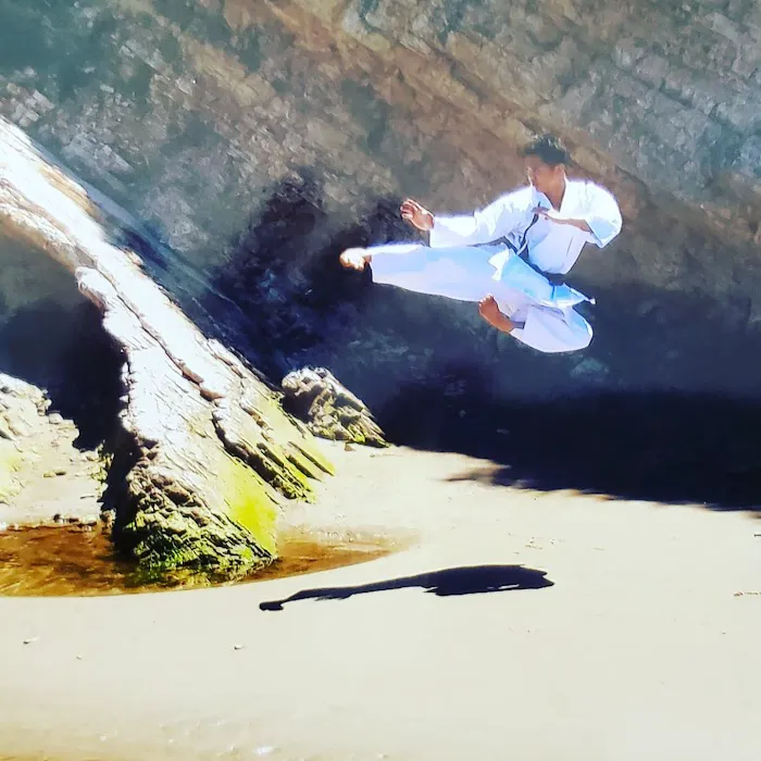 JEDOKAN ACADEMY Picture 10