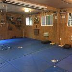 Fox Of Peace Dojo Kitsune Kenpo Ju-jitsu Fox Martial arts school jiu-jitsu