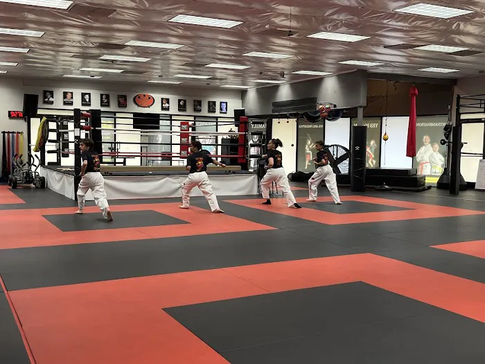 Dragons MMA Picture 10