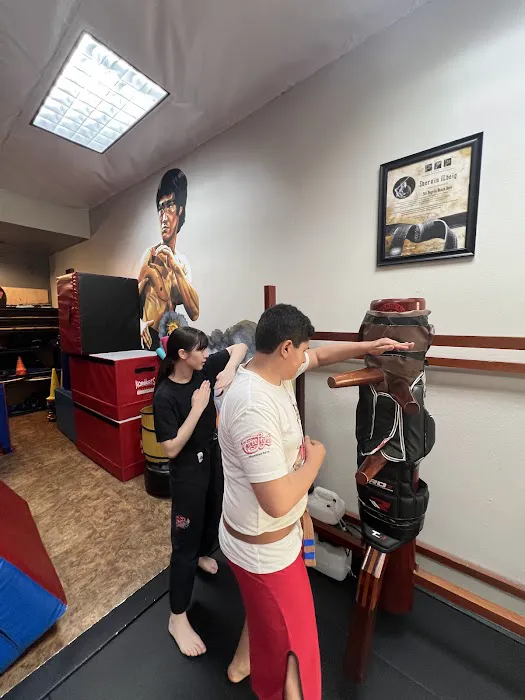 Dragons MMA Picture 5