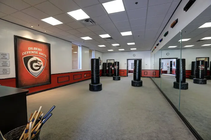 Gilbert Defense Arts Picture 1