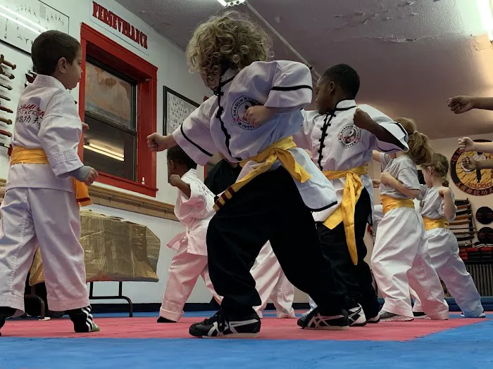 Shaolin Kung Fu Institute Picture 6