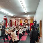 Shaolin Kung Fu Institute