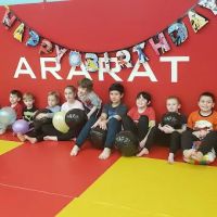 Ararat Martial Arts & Fitness Center ico