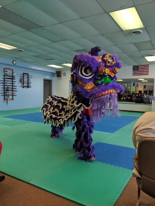 Golden Pyramid Martial Arts Center Picture 9