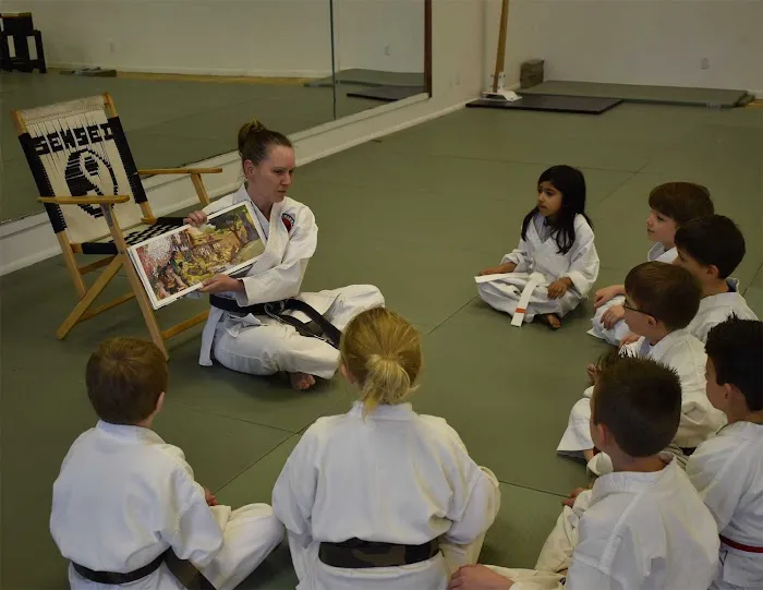 Okinawan Karate Center Picture 7