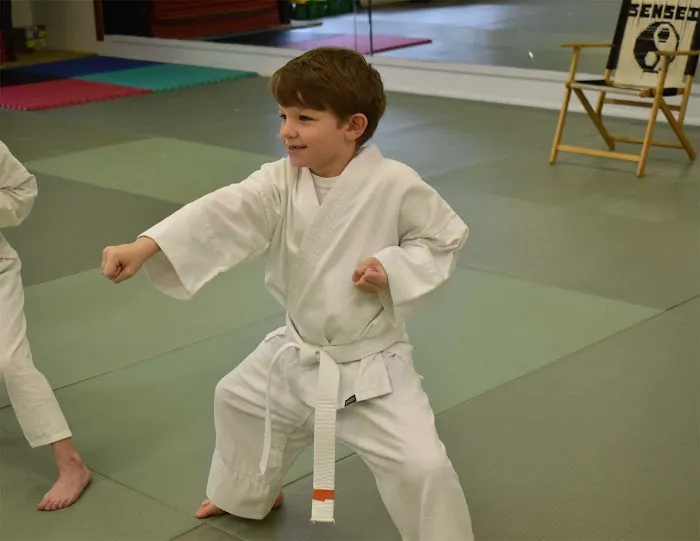 Okinawan Karate Center Picture 6