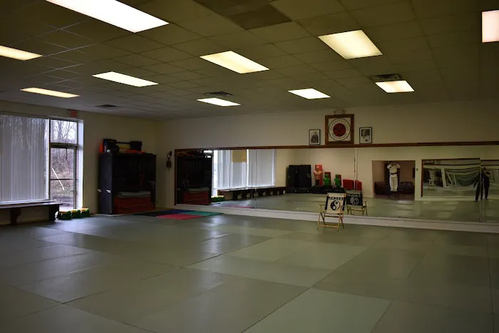 Okinawan Karate Center Picture 4