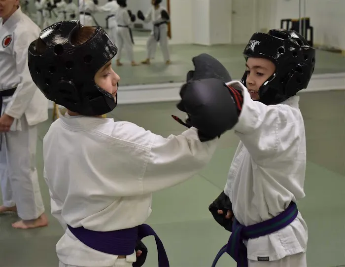 Okinawan Karate Center Picture 2