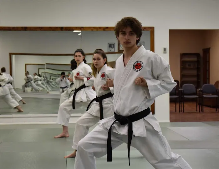 Okinawan Karate Center Picture 3