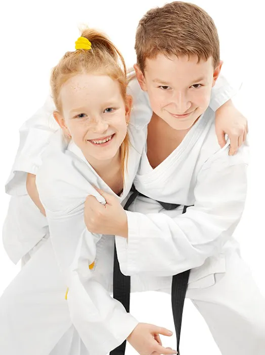 Pro Martial Arts Lyndhurst Picture 1