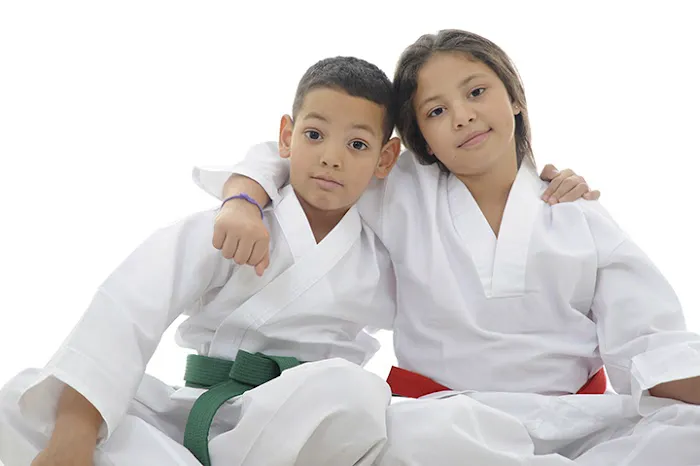 Pro Martial Arts Lyndhurst Picture 4