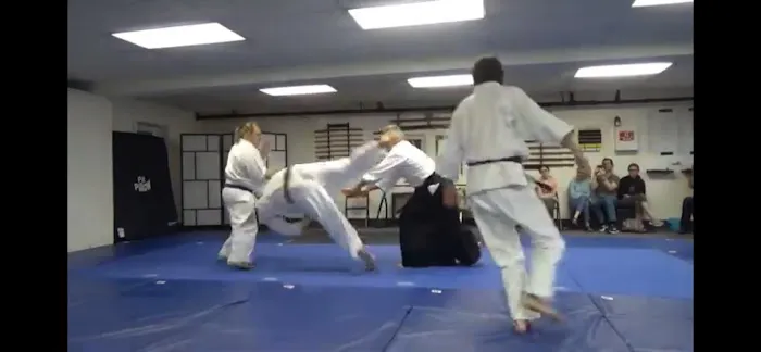 Chardon Aikido and Self Defense Picture 2