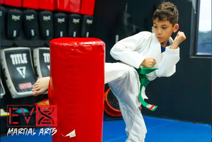 Evolution X Martial Arts Picture 8