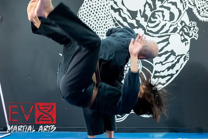 Evolution X Martial Arts Picture 3