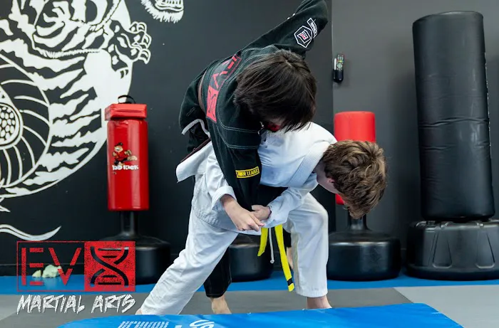 Evolution X Martial Arts Picture 9
