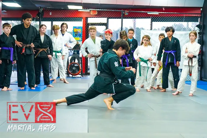 Evolution X Martial Arts Picture 6