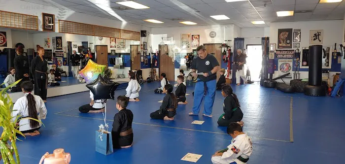 United Martial Arts Picture 10