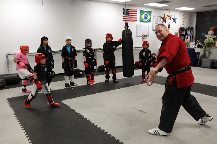 United Martial Arts Picture 4
