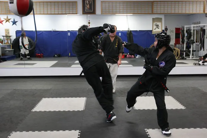 United Martial Arts Picture 5