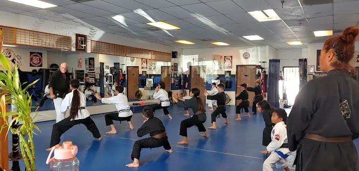 United Martial Arts Picture 8