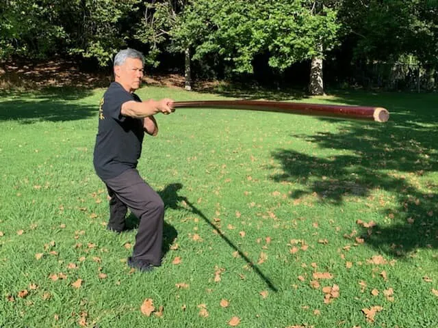 Jue Wing Chun - Kali Academy Picture 3