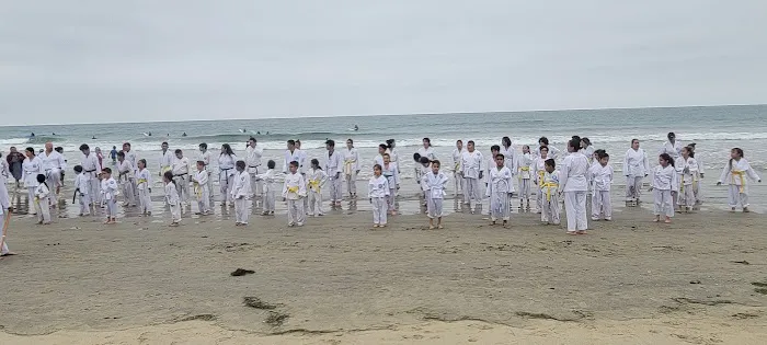 SM's Fontana KARATE Picture 1