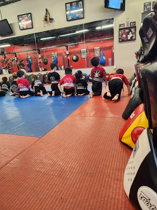 Evolution Muay Thai Martial Science Picture 10