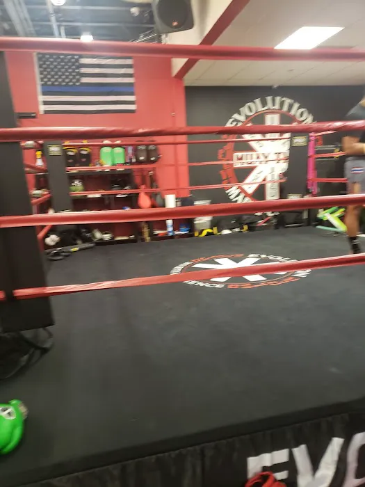 Evolution Muay Thai Martial Science Picture 2