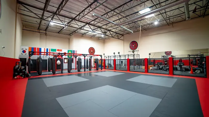 Millennia MMA Gym Picture 5