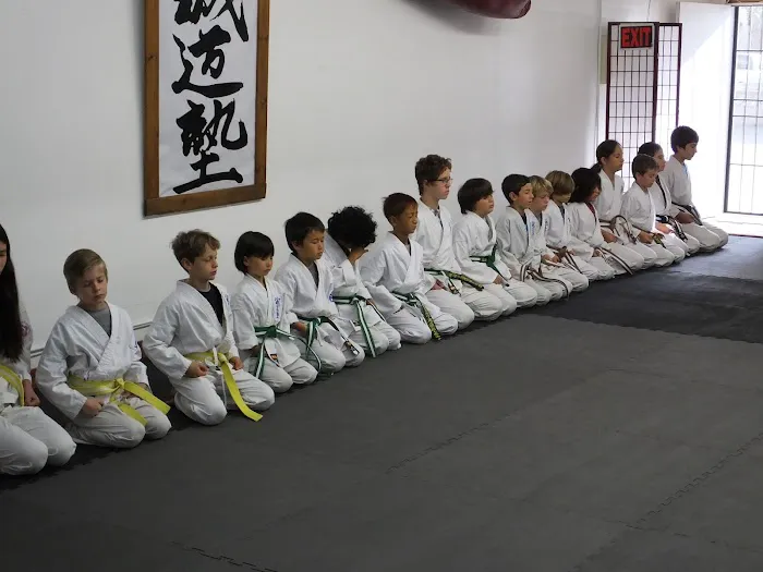 Culver City Seido Karate Picture 7