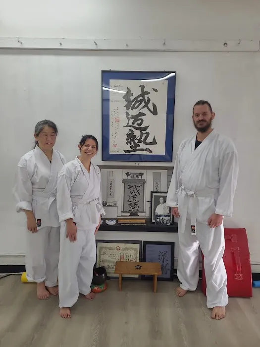 Culver City Seido Karate Picture 9