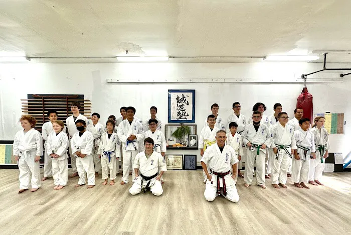 Culver City Seido Karate Picture 2
