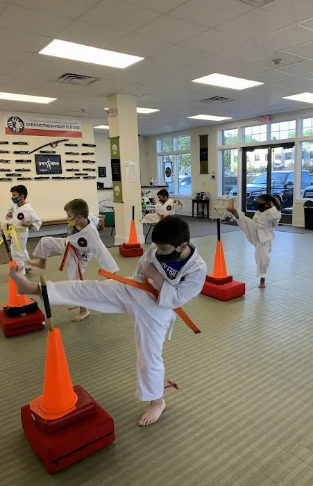 Faustini's Institute of Martial Arts and Fitness Picture 3